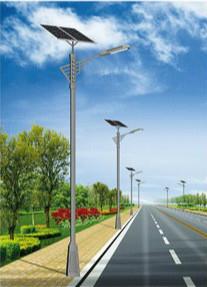 1742827545426759.jpg 临潭太阳能路灯.jpg